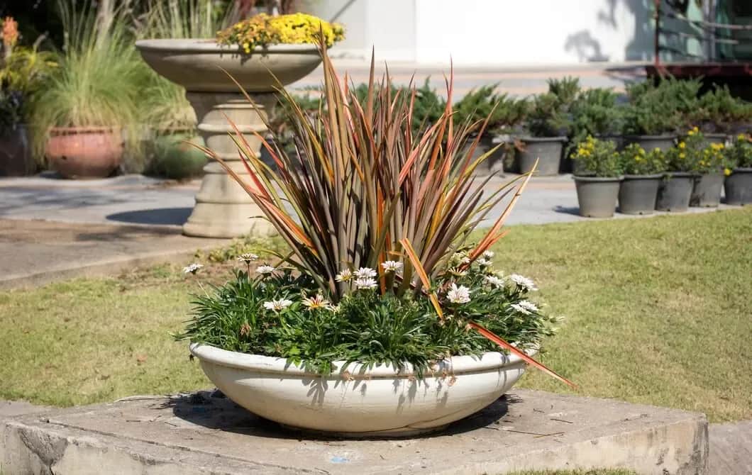 Jak ozdobić krąg betonowy w ogrodzie – proste pomysły na piękną dekorację