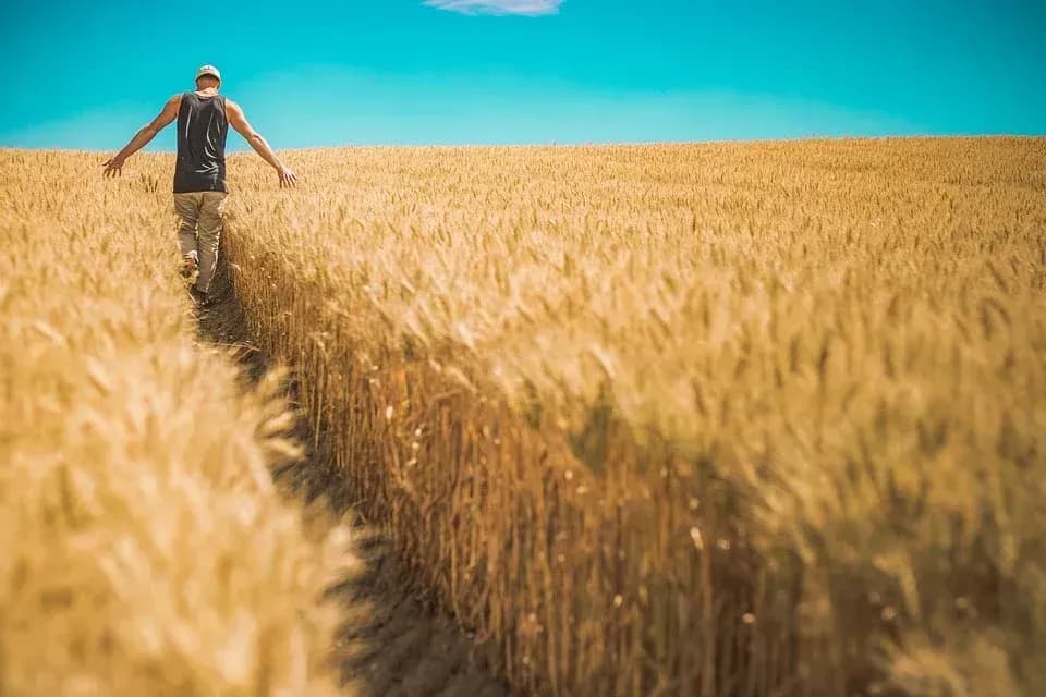 Czy dzierżawa gruntów rolnych jest opodatkowana? Sprawdź zasady!