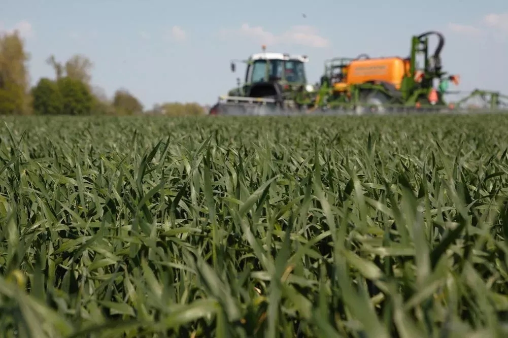 Najlepsze odpowiedzi na chwast w zbożu w krzyżówkach - sprawdź teraz