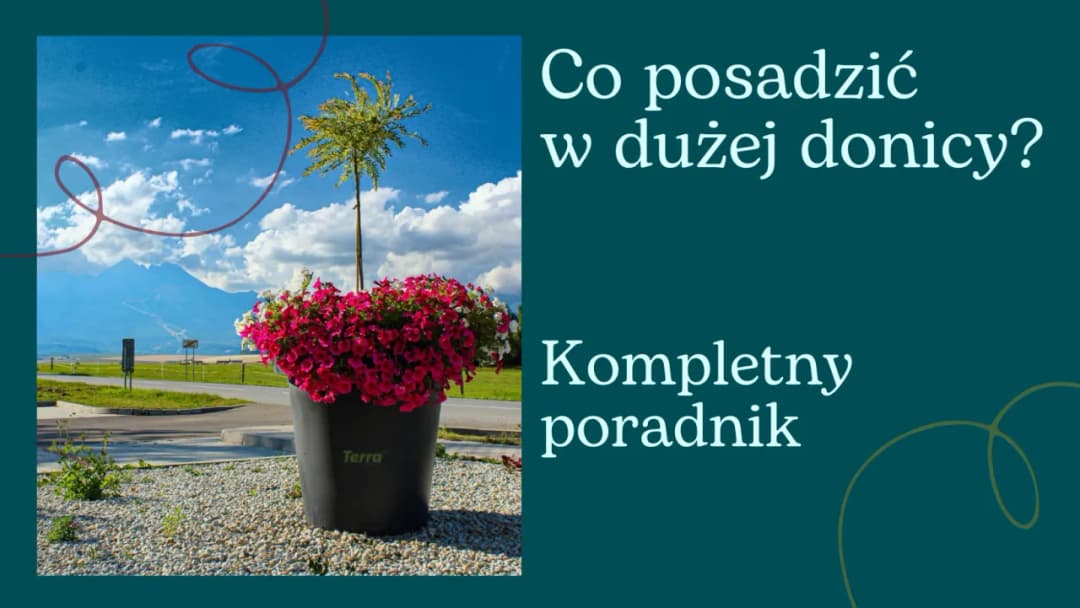 Co wsadzić do dużej donicy? Najlepsze rośliny do zaskakujących efektów