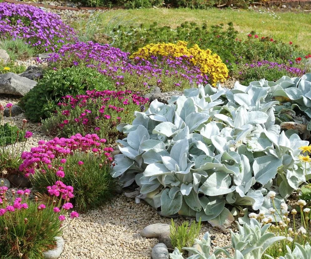 Najlepsze wieloletnie kwiaty na skalniak – trwałe i efektowne kompozycje dla każdego ogrodu