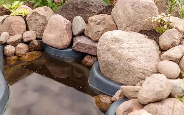 Jak zrobić skalniak z kamieni polnych – prosty poradnik dla początkujących