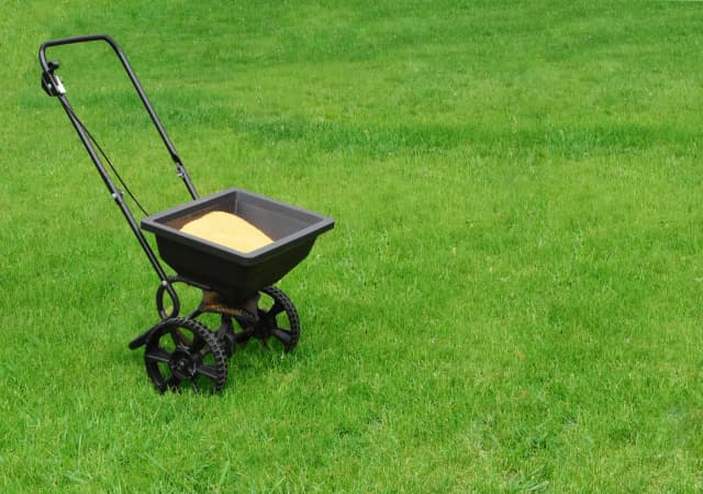 Jaki nawóz na trawnik jesienią wybrać, by uniknąć błędów i przygotować trawę na zimę?