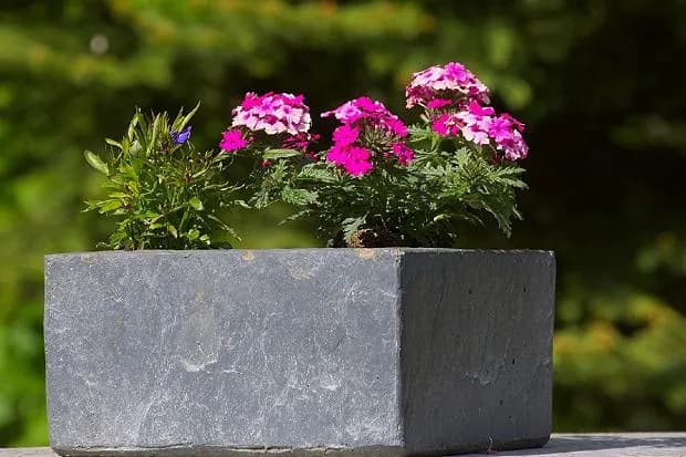 Jak zrobić donice z betonu i styropianu - krok po kroku do sukcesu