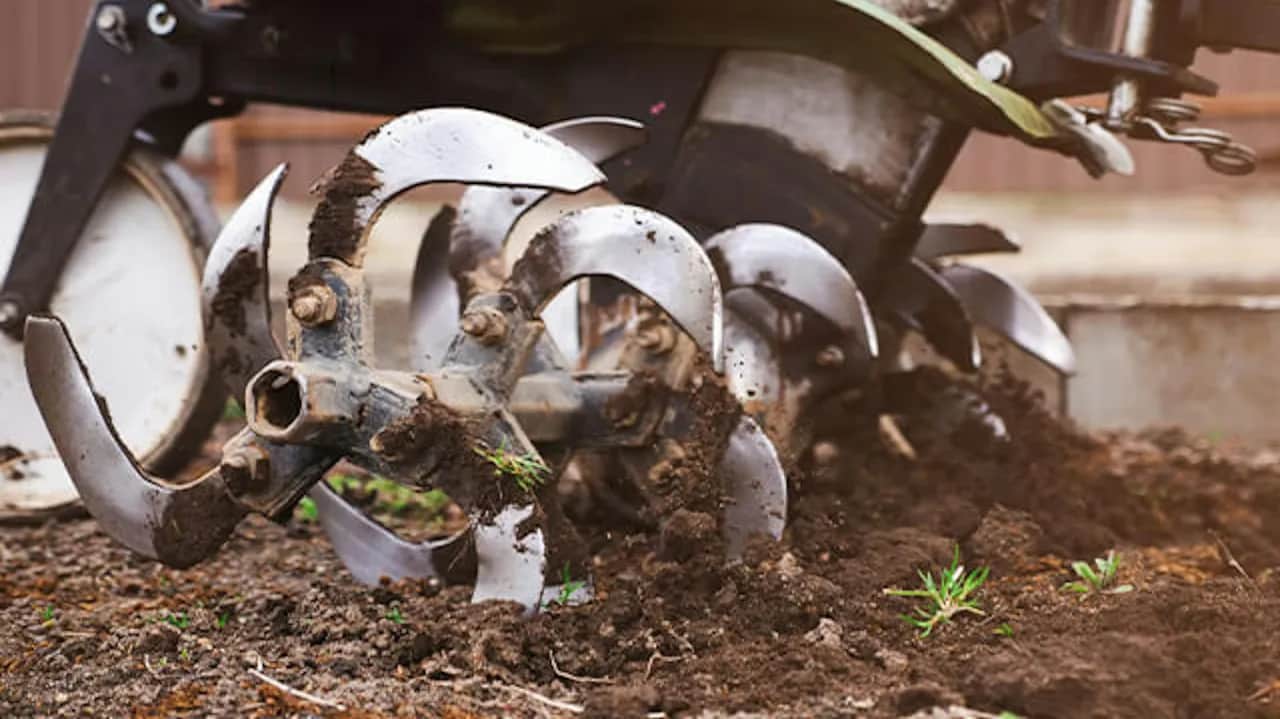 Jak wygląda glebogryzarka? Odkryj jej cechy i zastosowanie w ogrodzie