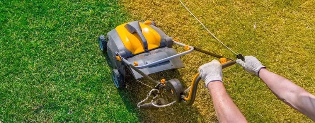 Kiedy wykonywać wertykulację trawnika, aby uniknąć zniszczeń i cieszyć się pięknym trawnikiem