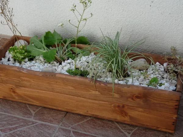 Jak zrobić skalniak w donicy – prosty sposób na piękny balkon bez błędów