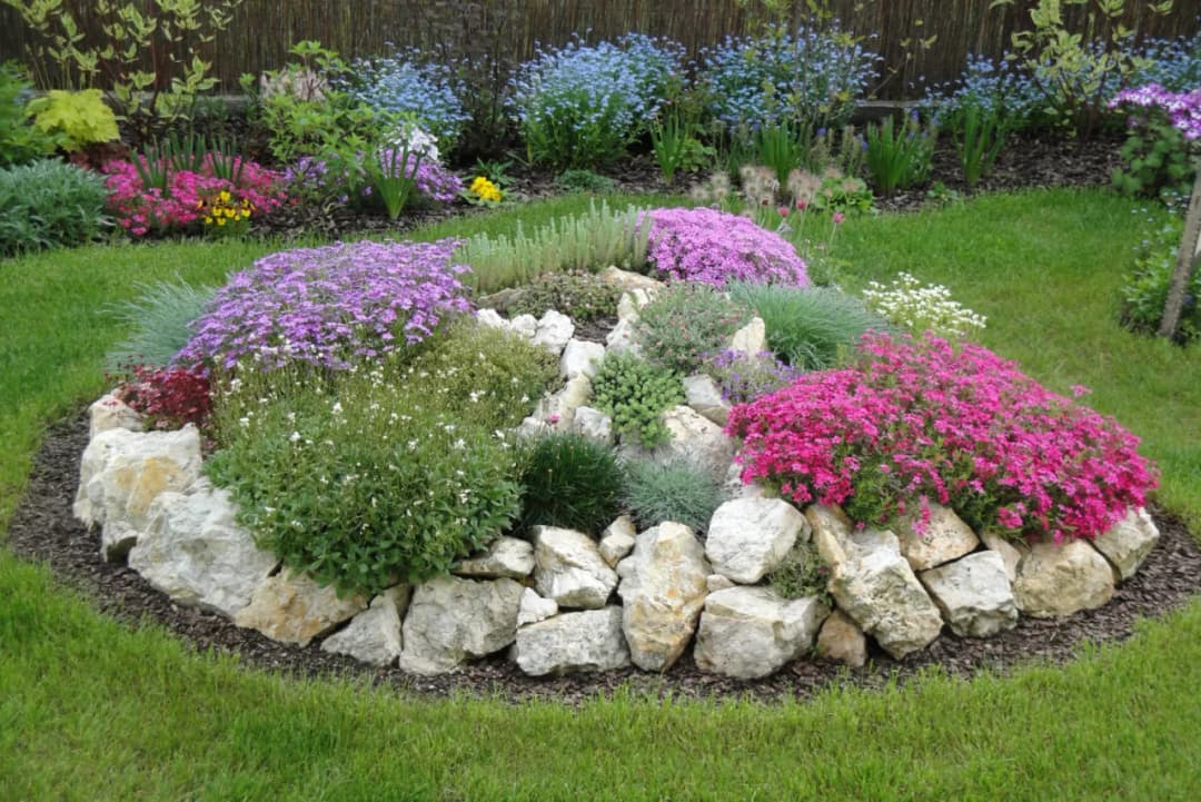 Najlepsze krzewy na skalniak – jakie wybrać i jak o nie dbać?