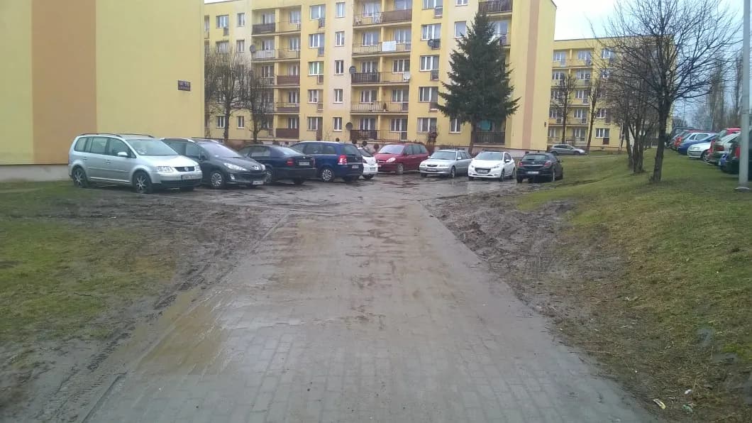 Czy można parkować na trawniku? Przepisy, kary i praktyczne porady